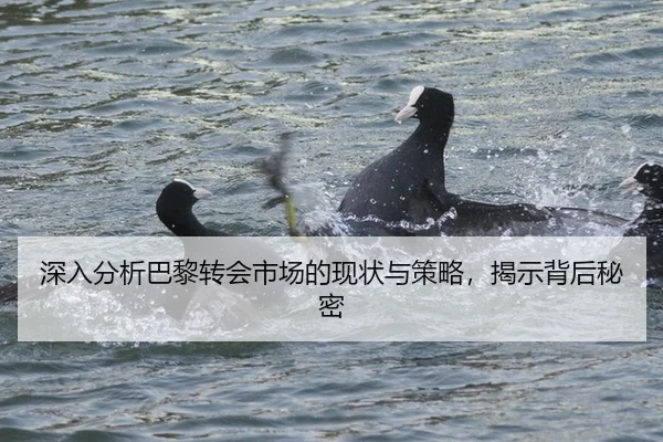 深入分析巴黎转会市场的现状与策略，揭示背后秘密